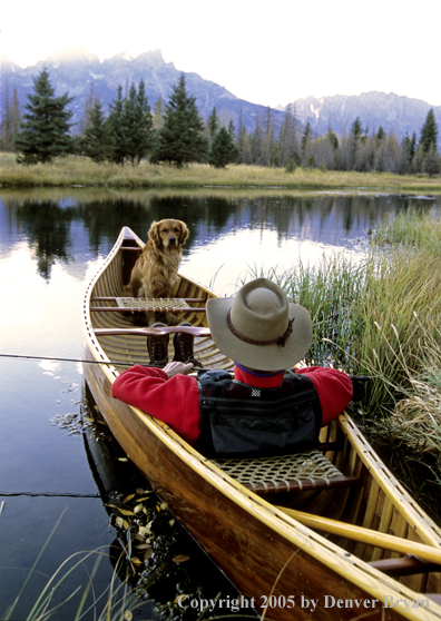 Flyfisherman with Golden Retriever in wooden cedar canoe.  