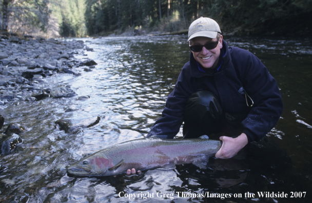 Flyfishing steelhead