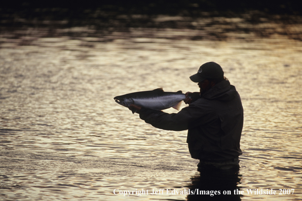 Flyfisherman with nice Silver Salmon