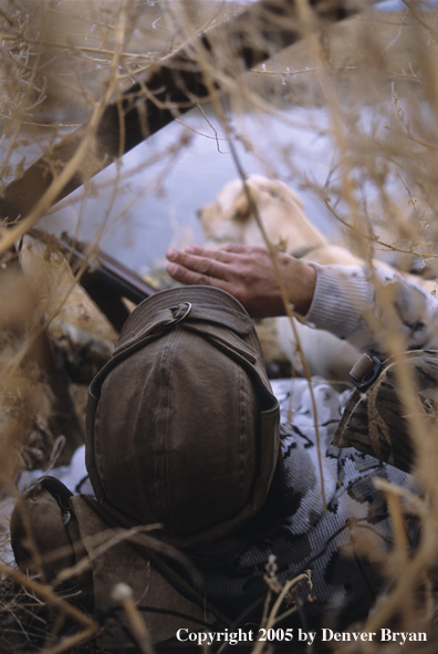 Waterfowl hunter with yellow Lab calling birds. 