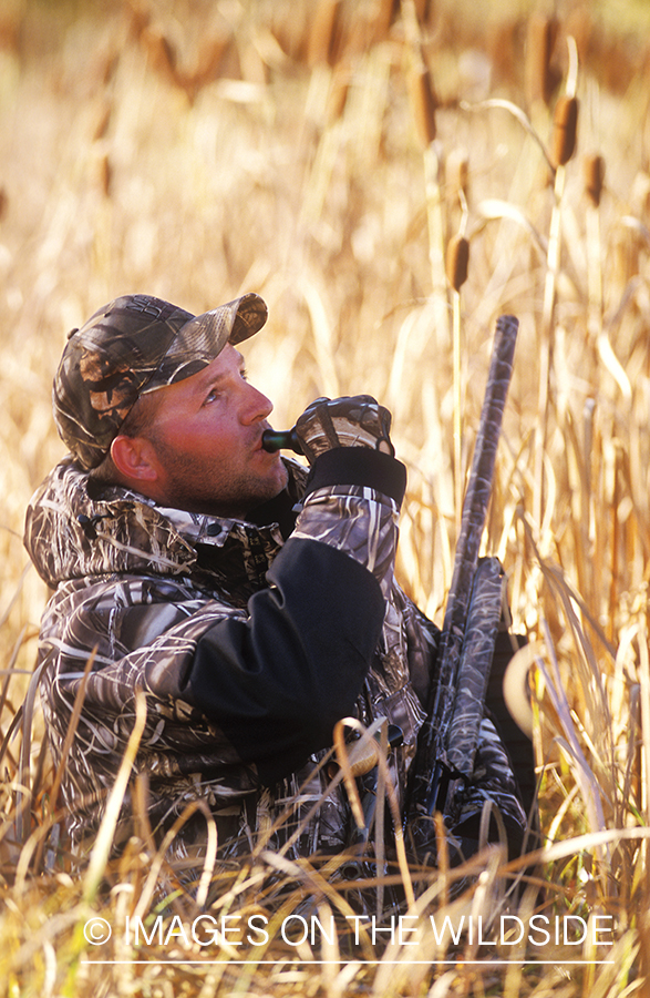 Waterfowl hunter calling.