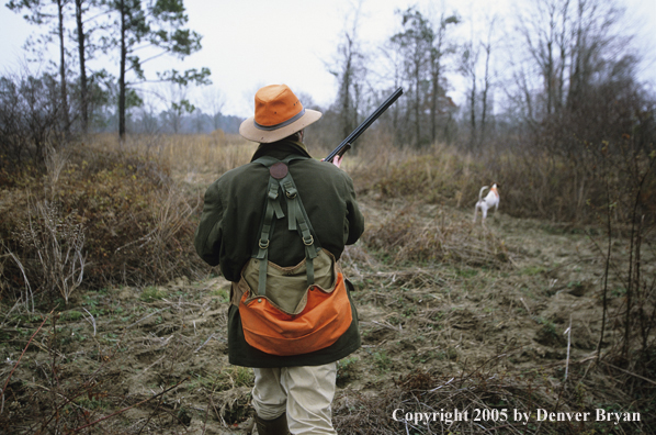 Upland bird hunter with dog on point in field hunting for Bobwhite quail.