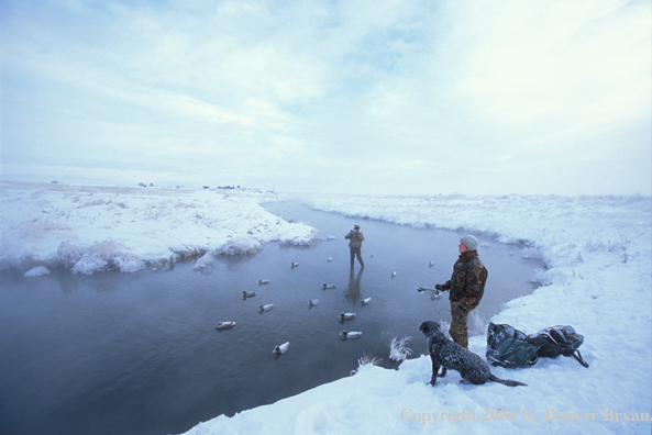 Waterfowl hunters with black Lab setting decoys.