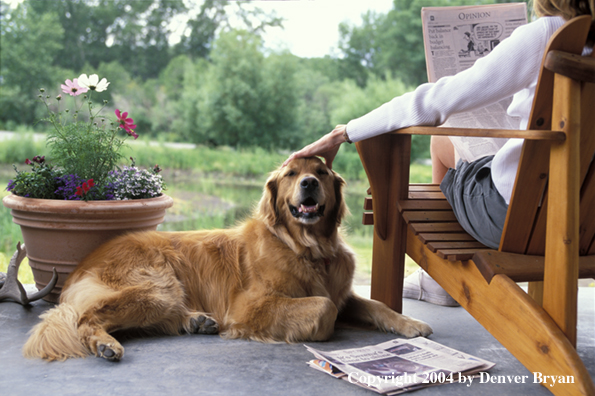 Woman with golden Retriever