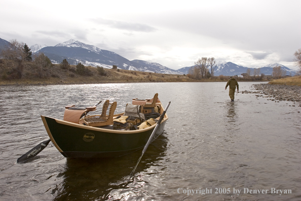 Flyfisherman fishing Yellowstone River, Montana.