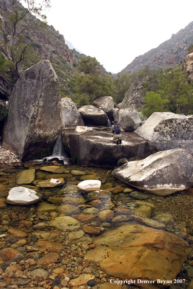 Flyfisherman casting on river.