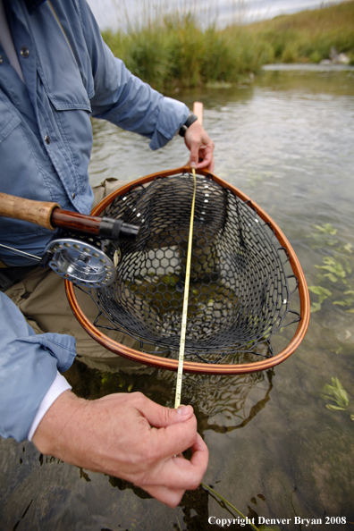 Flyfisherman with fish measurement