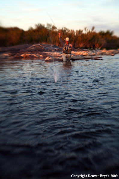 Woman flyfishing