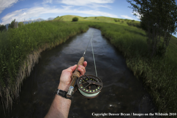 Flyfisherman on small stream