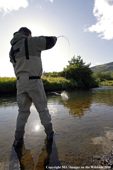 Flyfisherman fighting trout/salmon on Kodiak Island, Alaska. 