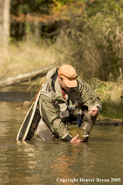 Flyfisherman with nice trout.