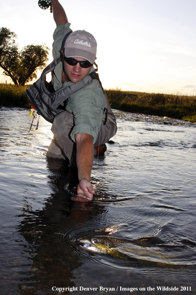 Flyfisherman with Brown Trout