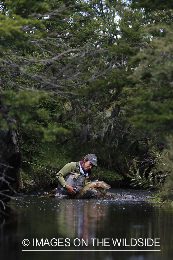 Flyfishing woman releasing brown trout.