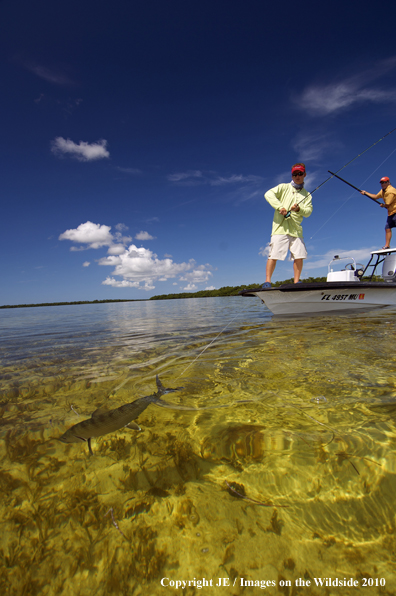 Saltwater Flyfishing 