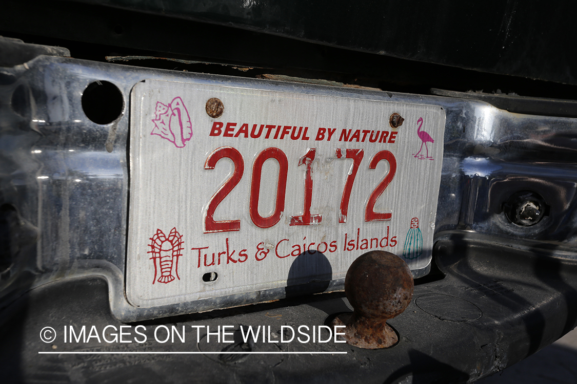 Turks & Caicos license plate