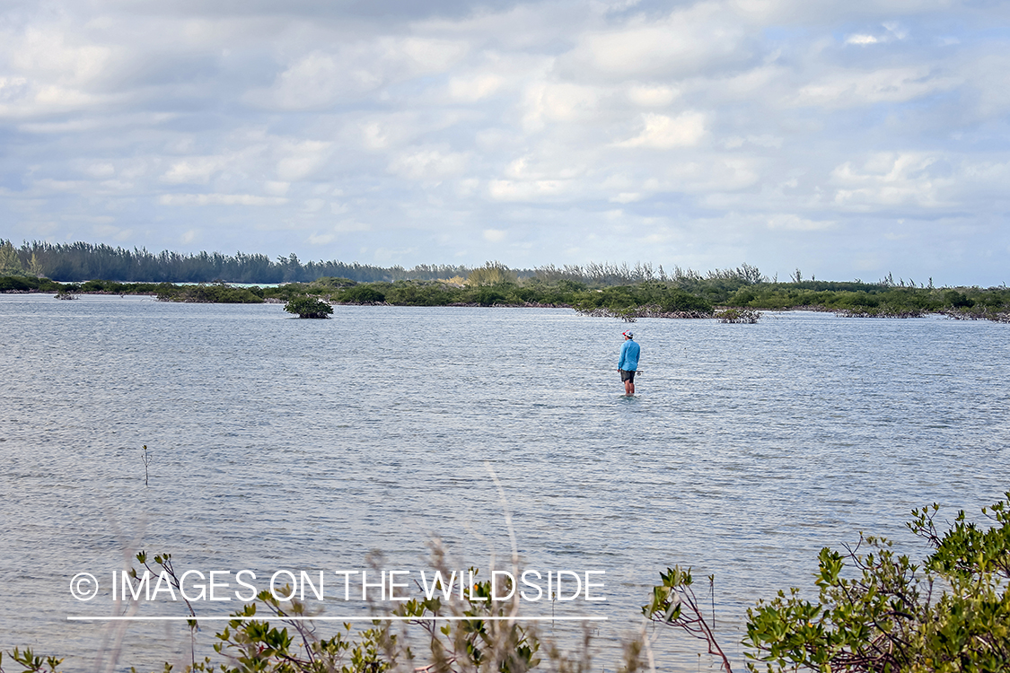 Flyfisherman fighting bonefish.