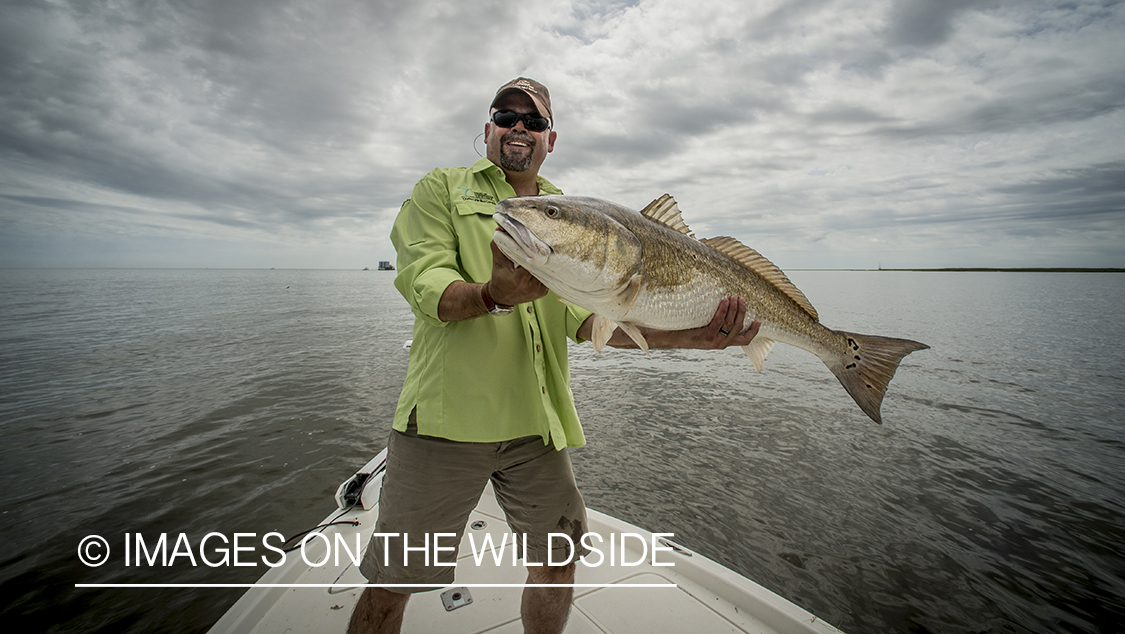 Fisherman with redfish.