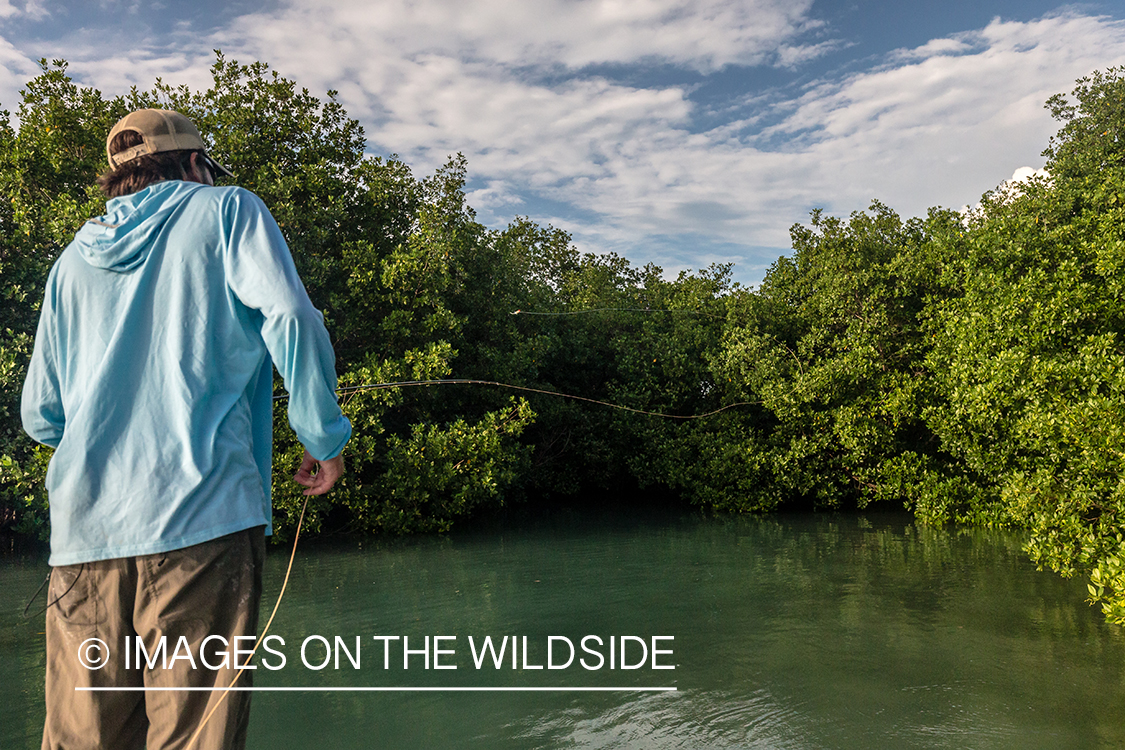 Saltwater flyfishing in Belize.