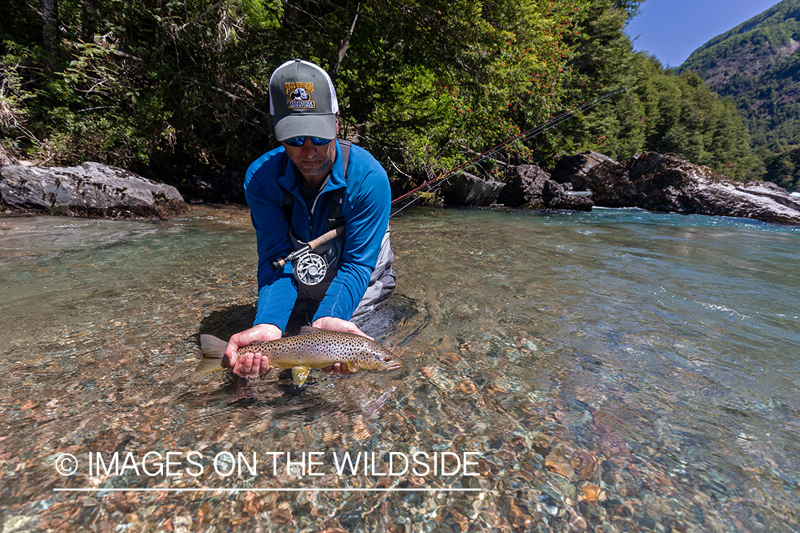 Flyfisherman releasing trout.