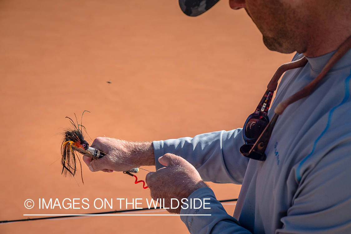 Flyfishing for Golden Dorado in Bolivia.