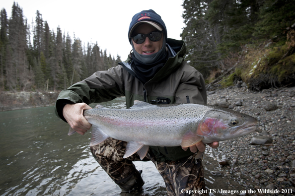 Flyfisherman with Steelhead. 