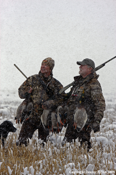 Waterfowl hunters with killed mallard ducks.