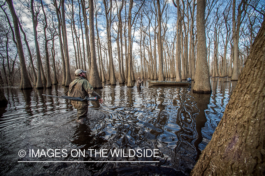 Duck hunters in flooded timber.