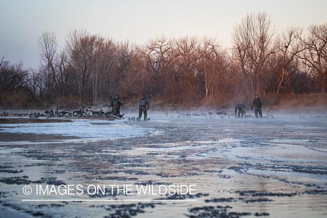 Waterfowl hunting