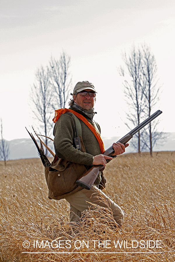 Pheasant hunter in field. 