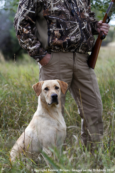 Dove Hunting