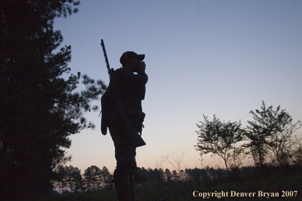 Turkey hunter calling in the field