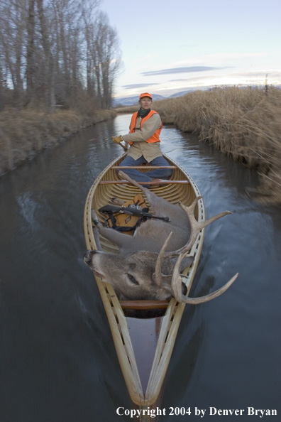 Woman big game hunter paddling canoe with bagged white-tailed deer in bow.