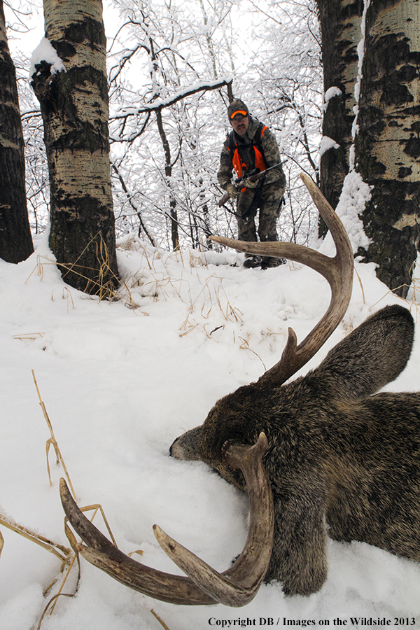 Hunter with bagged white-tailed deer.