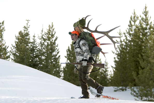 Big game hunter packing elk rack out on snowshoes.