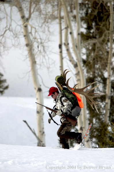 Big game hunter packing elk rack out on snowshoes.