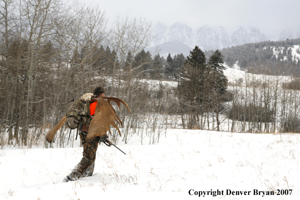 Moose hunter in field