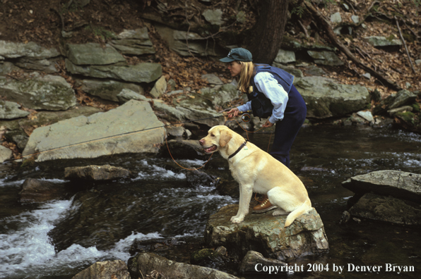 Woman flyfisher with yellow Lab.