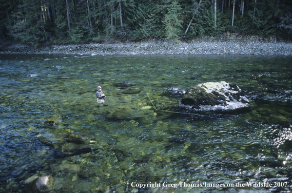 Flyfisherman in middle of river fishing