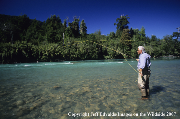 Angler casts a tight loop.