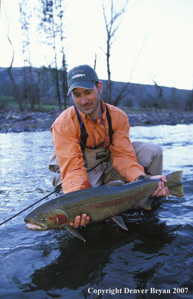 Flyfisherman releasing steelhead.