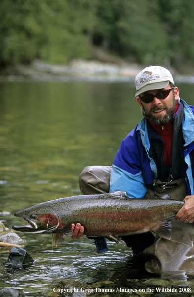 Flyfishing steelhead