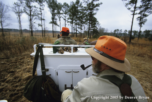 Upland bird hunters in mule drawn carriage hunting for Bobwhite quail.