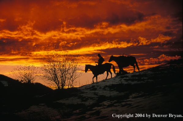 Big game hunter on horseback at sunrise/sunset.