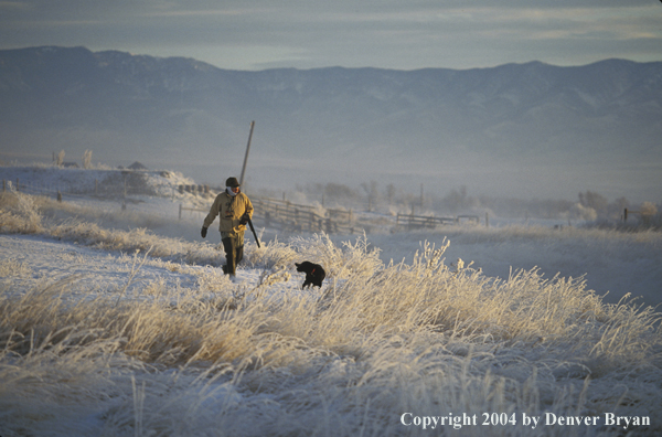 Waterfowl hunter with black Lab. 