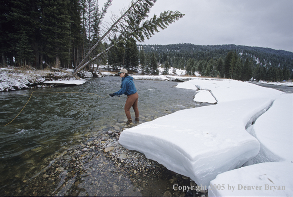 Female flyfisher fishing in the winter.