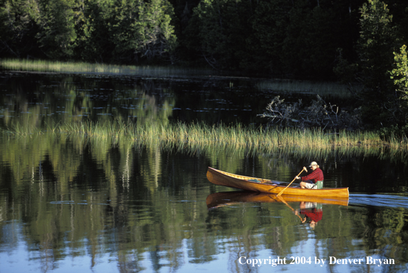 Flyfisherman paddling cedar canoe.