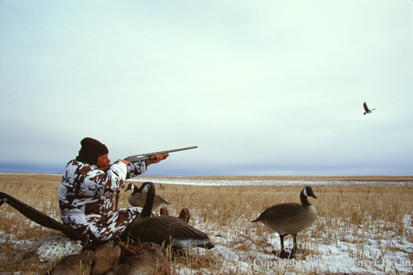 Waterfowl hunter aiming/shooting at goose.