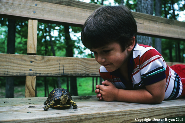 Young Boy with Box Turtle