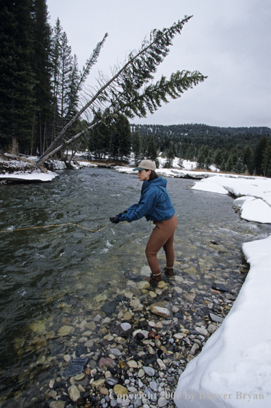 Female flyfisher fishing in winter.