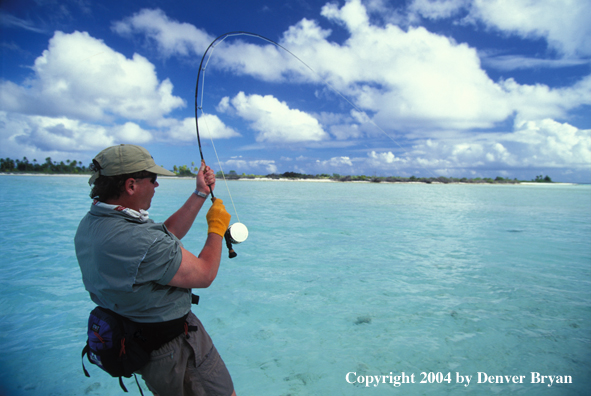 Saltwater flyfisherman fighting fish.